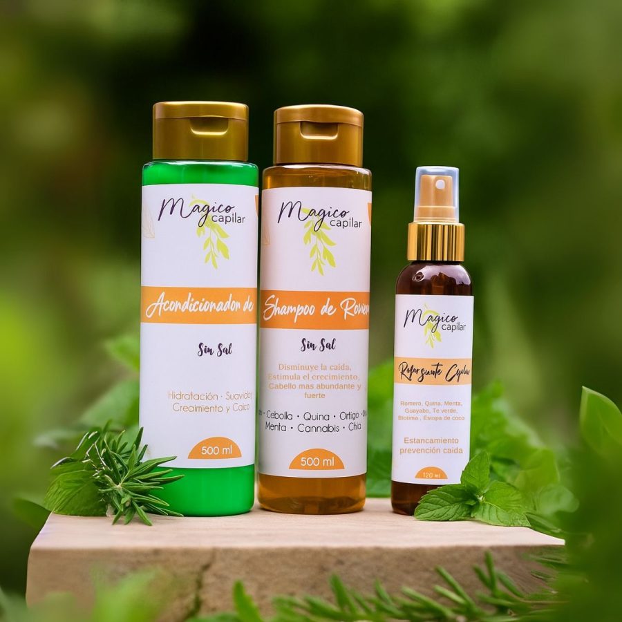Kit Anticaida